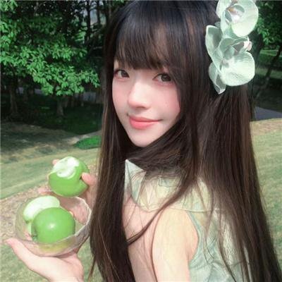 鹿